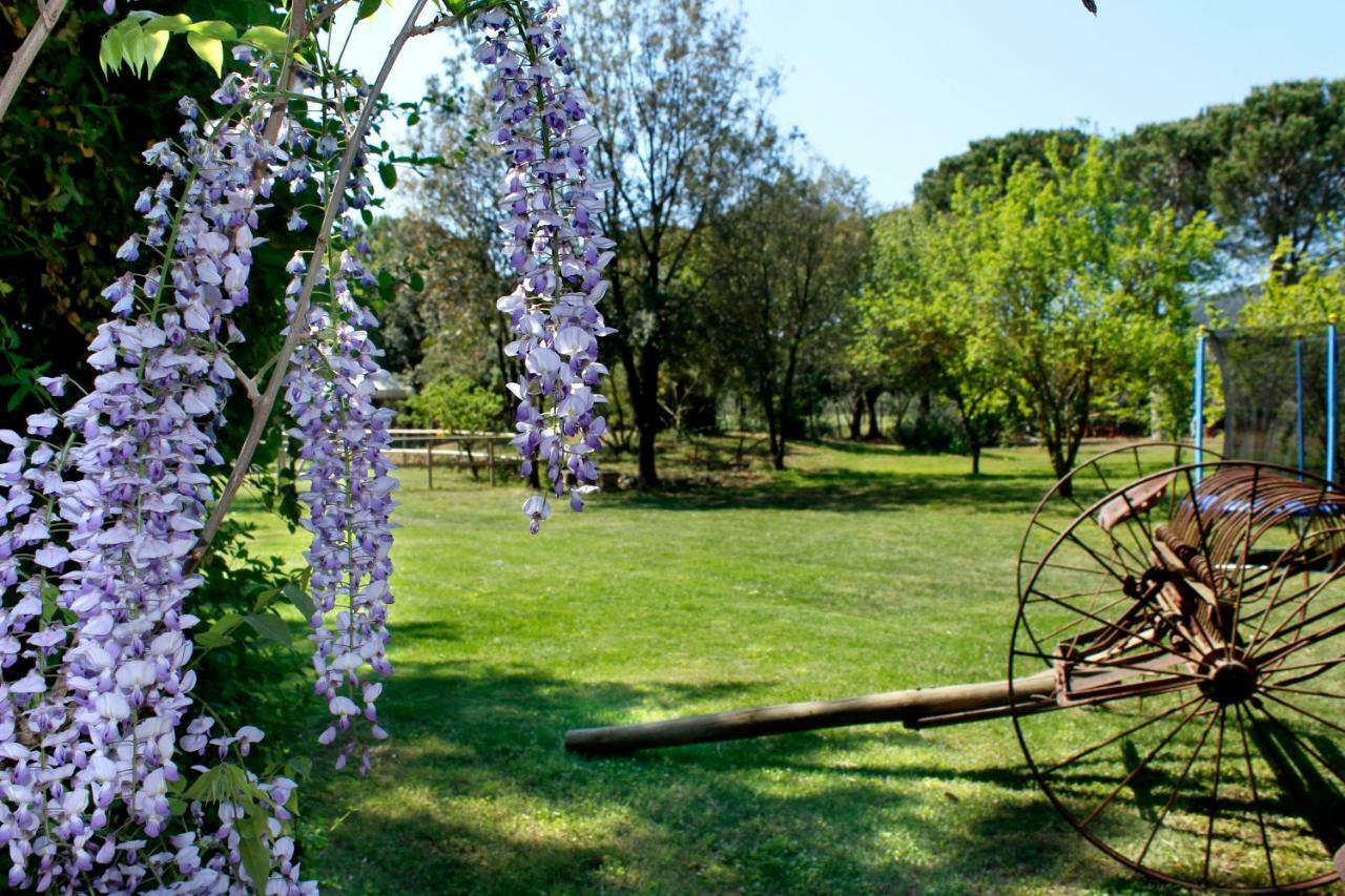 Agriturist Prile Villa Castiglione della Pescaia Exterior foto