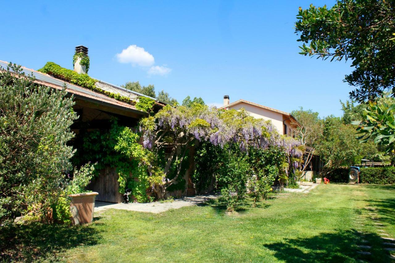 Agriturist Prile Villa Castiglione della Pescaia Exterior foto